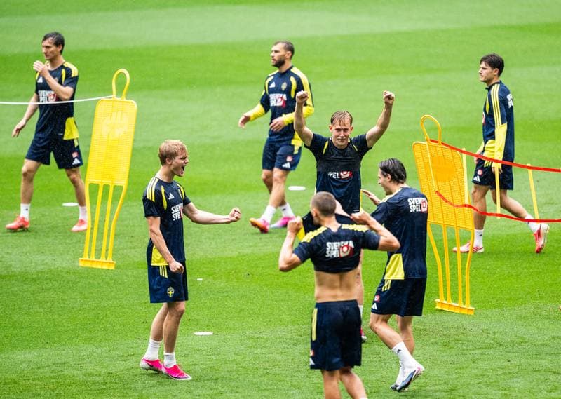 Football. World Cup 2026. Sweden. Training. 07.06.2026