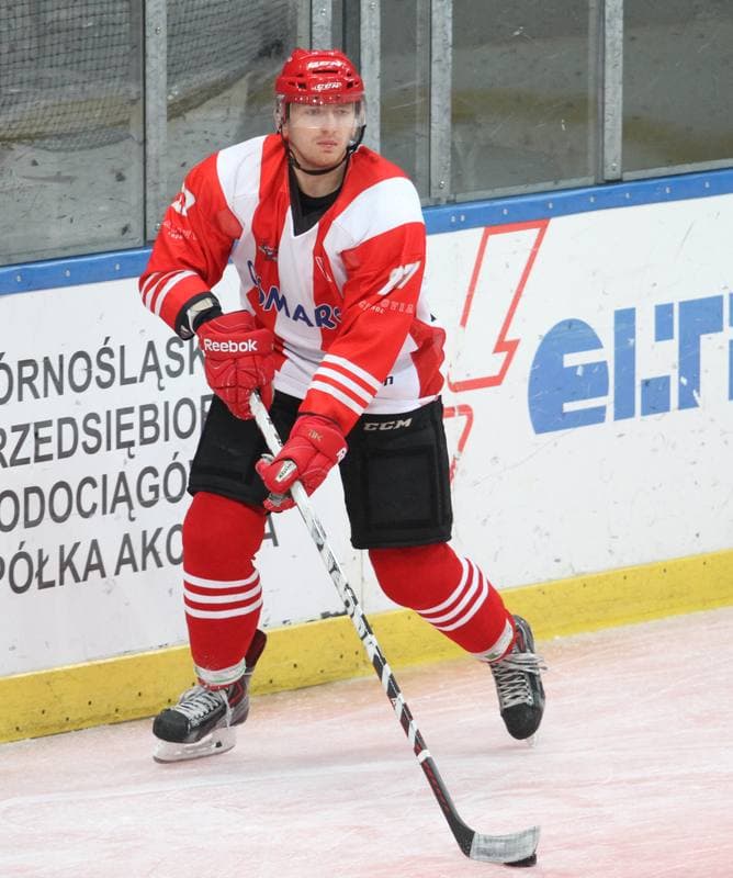 Ice Hockey. Polska Hokej Liga. HC GKS Katowice - Comarch Cracovia Krakow. 13.01.2015
