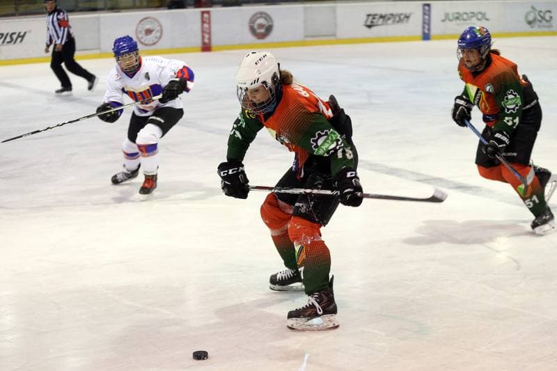Ice Hockey. PLHK. Polonia Bytom - Naprzod Janow. 03.03.2018