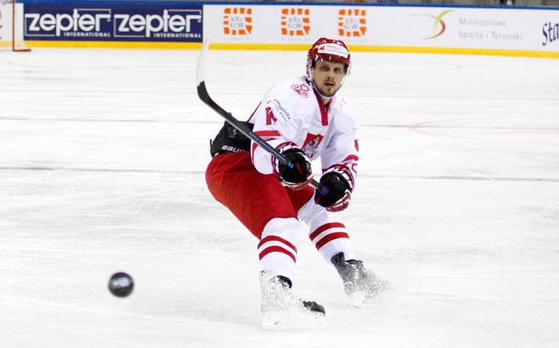 Ice Hockey. IIHF World Championship Division 1A. Poland - Ukraine. 22.04.2015