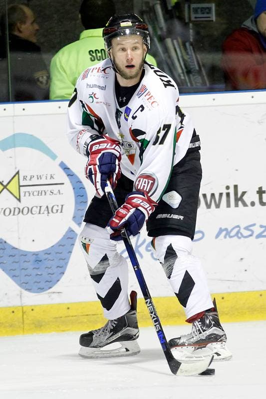 Ice Hockey. Polska Hokej Liga. GKS Tychy - Tempish Polonia Bytom. 22.01.2017