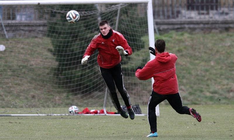 Football. Gornik Zabrze. Training. 25.02.2014