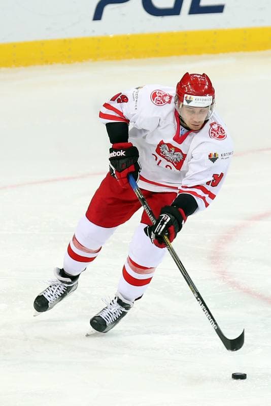 Ice Hockey. World Championship Division 1A. Poland - Slovenia. 26.04.2016