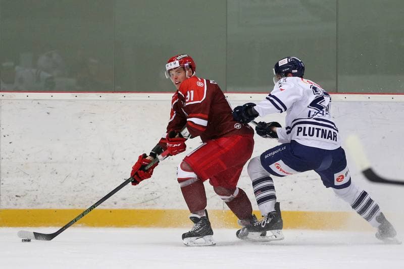 Ice Hockey. WSM Liga. HC Frydek-Mistek - HC Benatky nad Jizerou. 20.02.2017