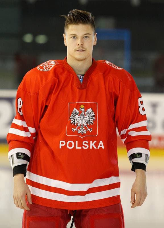 Ice Hockey. Poland national team. Training. 14.04.2015