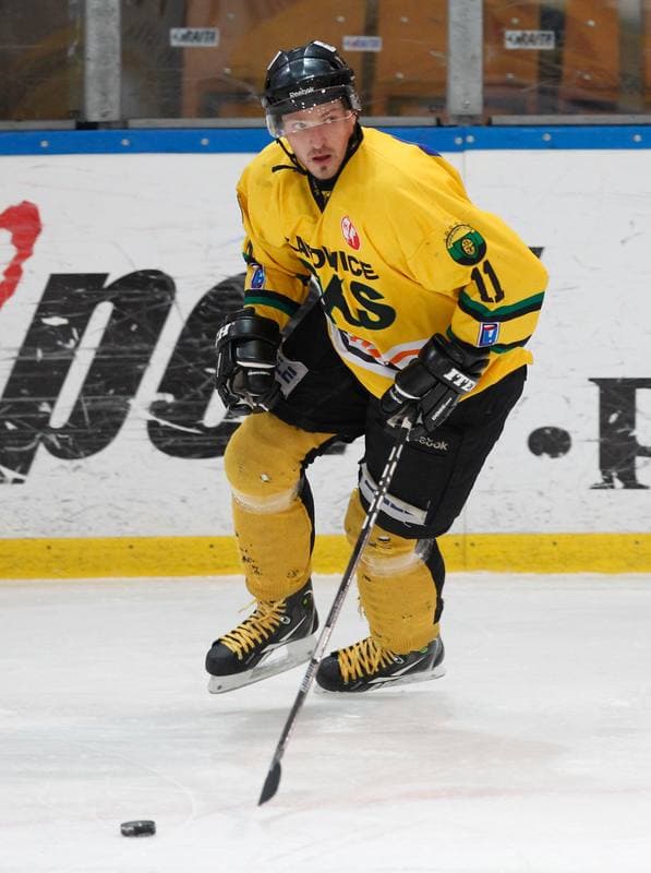Ice Hockey. Polska Hokej Liga. HC GKS Katowice - Polonia Bytom. 26.01.2014