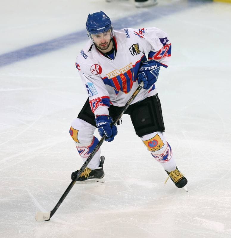 Ice Hockey. Polska Hokej Liga. Polonia Bytom - JKH GKS Jastrzebie. 14.12.2014