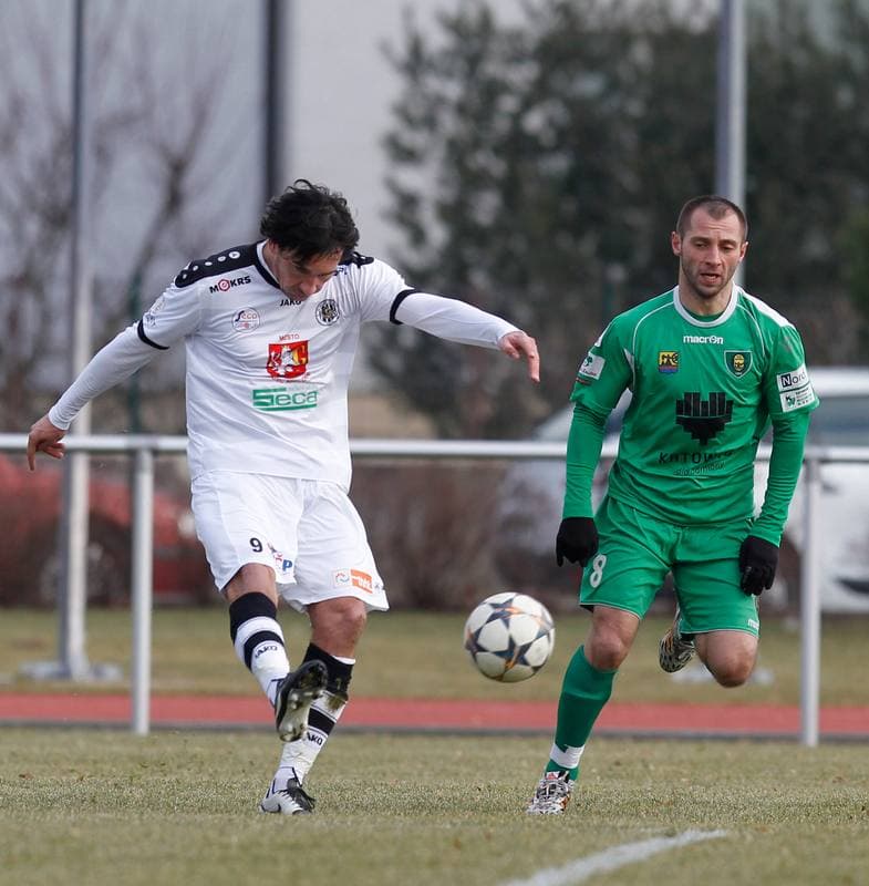 Football. Friendly Match. FC Hradec Kralove - GKS Katowice. 14.02.2015