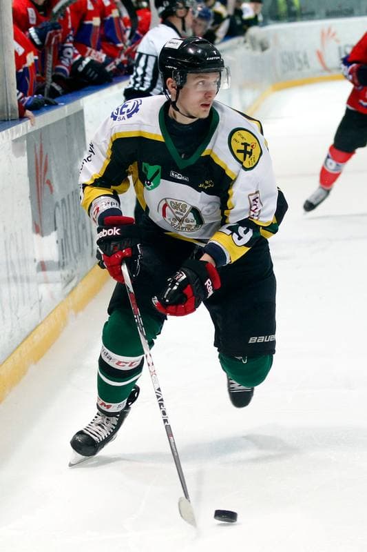 Ice Hockey. Polska Hokej Liga. JKH GKS Jastrzebie - Tempish Polonia Bytom. 05.02.2017
