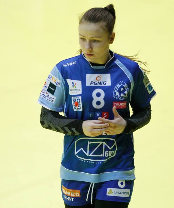 Handball. PGNiG Superliga. KPR Ruch Chorzow - Vistal Laczpol Gdynia. 15.01.2014