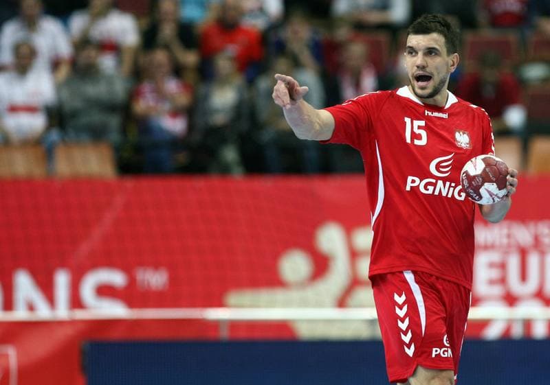 Football. International Friendly. Poland - Czech Republic. 17.11.2015