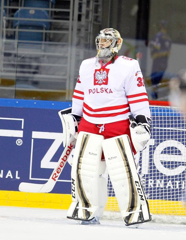 Ice Hockey. IIHF World Championship Division 1A. Poland - Ukraine. 22.04.2015