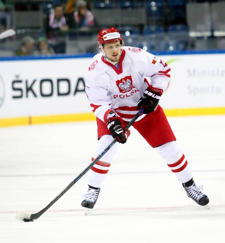 Ice Hockey. IIHF World Championship Division 1A. Poland - Kazakhstan. 23.04.2015