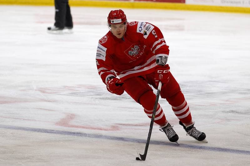 Ice Hockey. EIHC. Poland - France. 19.12.2015