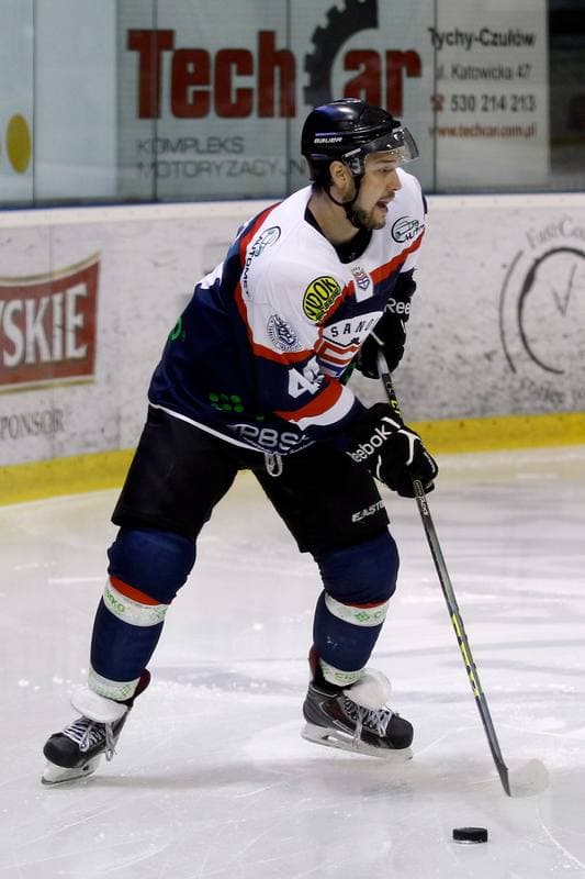 Ice Hockey. Polska Hokej Liga. GKS Tychy - Ciarko STS Sanok. 15.01.2016