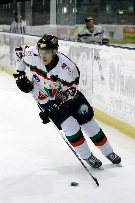 Ice Hockey. Polska Hokej Liga. GKS Tychy - Ciarko STS Sanok. 15.01.2016