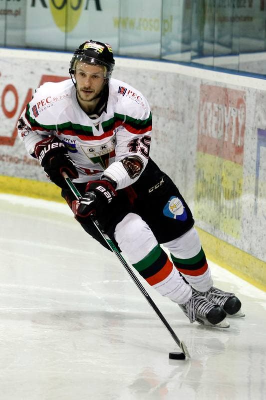 Ice Hockey. Polska Hokej Liga. GKS Tychy - Comarch Cracovia Krakow. 26.01.2016