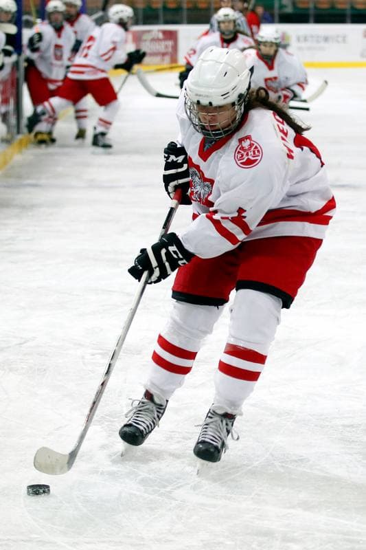 Ice Hockey. Women's Friendly Match. Poland - Hungary. 05.02.2016