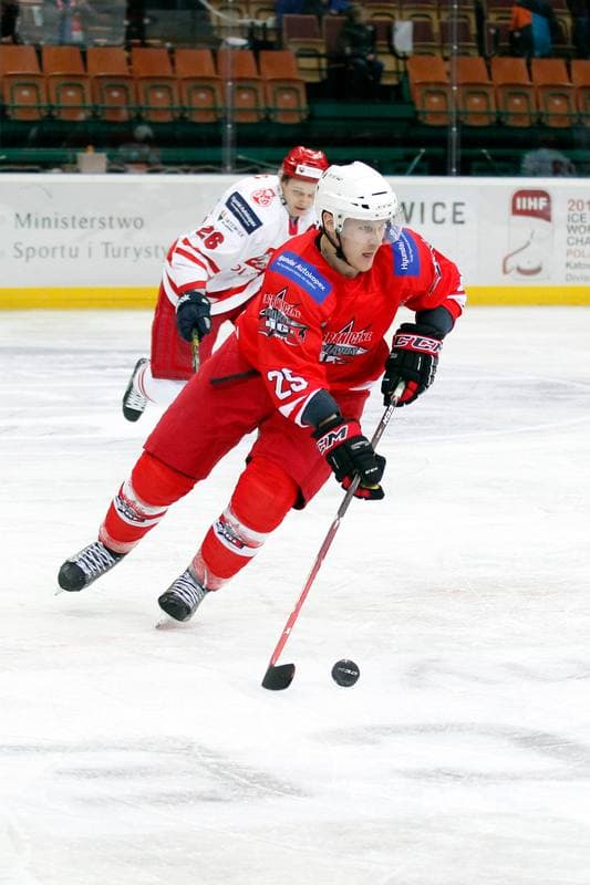 Ice Hockey. Friendly Match. Poland - Stars PHL. 06.02.2016