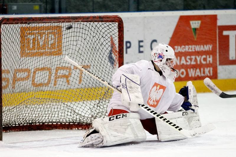 Ice Hockey. Poland national team. Training. 28.12.2018