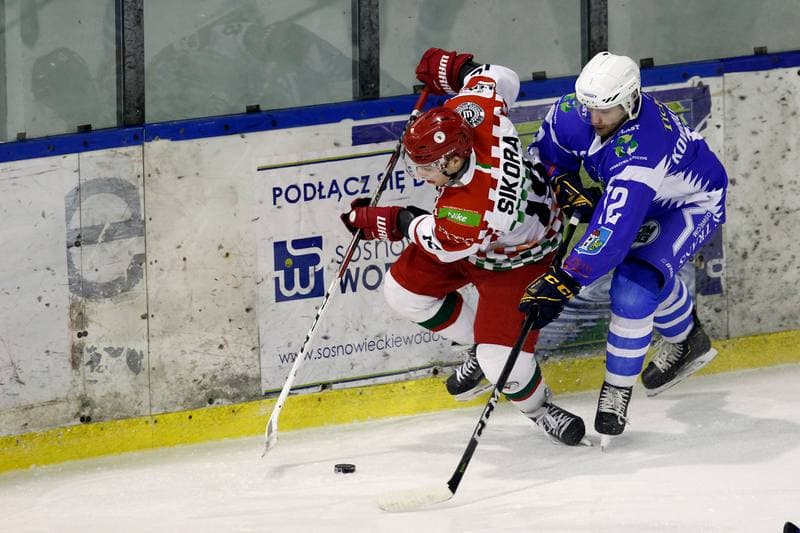 Ice Hockey. Polska Hokej Liga. Zaglebie Sosnowiec - Unia Oswiecim. 01.02.2019