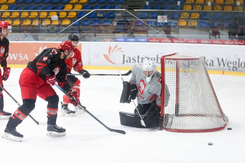 Ice Hockey. Poland national team. Training. 02.04.2024