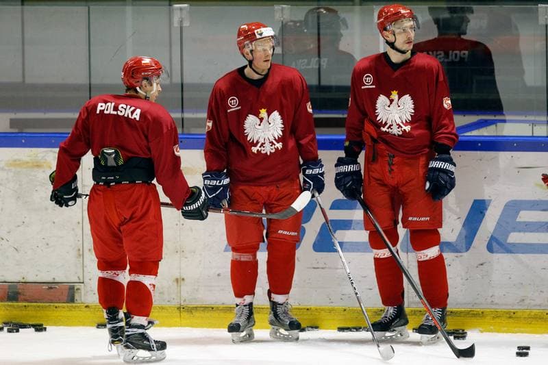 Ice Hockey. Poland national team. Training. 13.02.2018