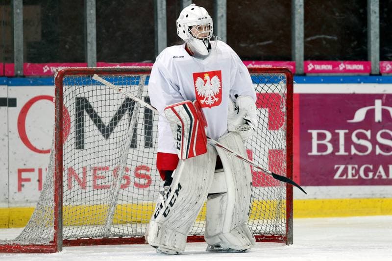 Ice Hockey. Poland national team. Training. 15.02.2018