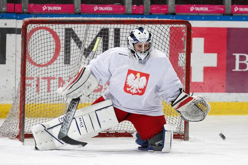 Ice Hockey. Poland national team. Training. 15.02.2018