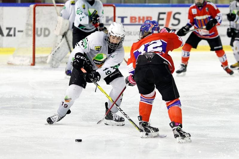 Ice Hockey. PLHK. Naprzod Janow - Polonia Bytom. 24.02.2018