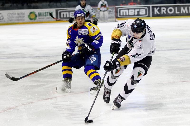 Ice Hockey. Polska Hokej Liga. GKS Tychy - TatrySki Podhale Nowy Targ. 22.01.2019