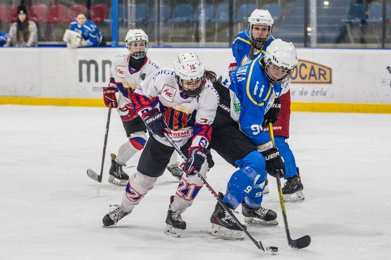 Ice Hockey. PLHK. BS Polonia Bytom - UKHK Unia Oswiecim. 12.02.2022