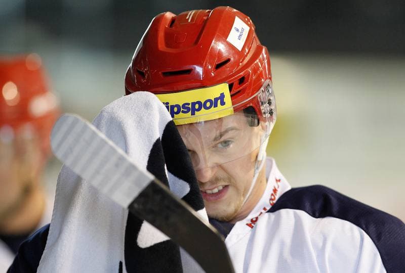 Ice Hockey. Poland national team. Training. 14.04.2025
