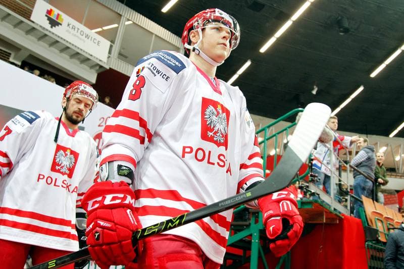 Ice Hockey. Friendly Match. Poland - Stars of PHL. 06.02.2016
