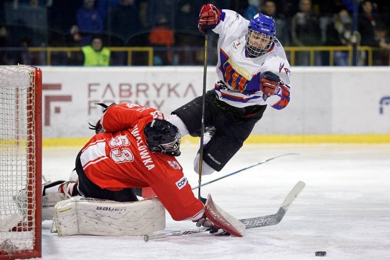 Ice Hockey. PHL. Tempish Polonia Bytom - Comarch Cracovia. 27.01.2017