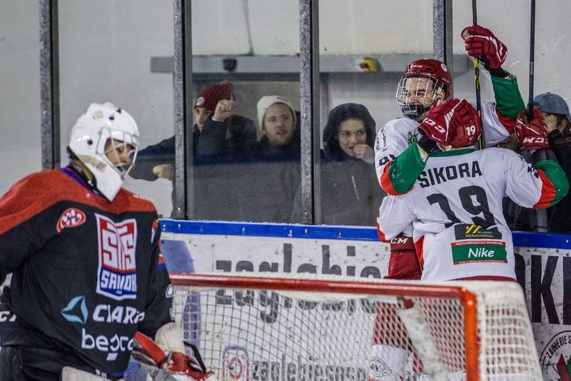 Ice Hockey. PHL. Zaglebie Sosnowiec - Ciarko STS Sanok. 11.02.2022