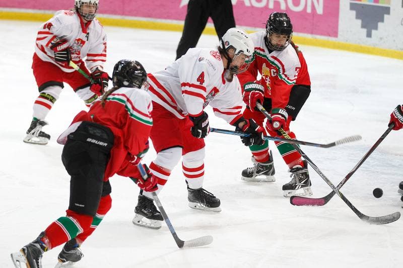 Ice Hockey. TCN. Poland - Hungary. 18.02.2018