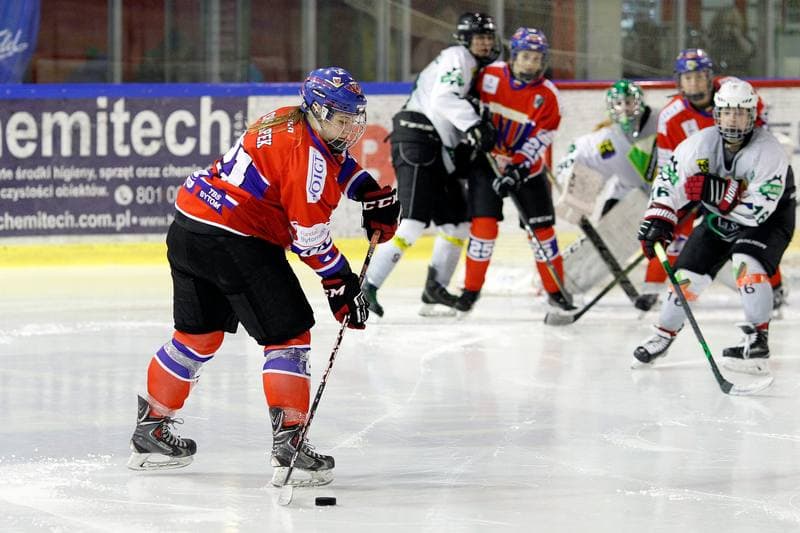 Ice Hockey. PLHK. Naprzod Janow - Polonia Bytom. 24.02.2018