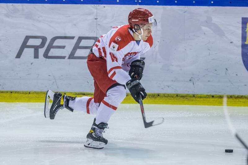 Ice Hockey. Three Seas Tournament. Poland - Estonia. 18.04.2021