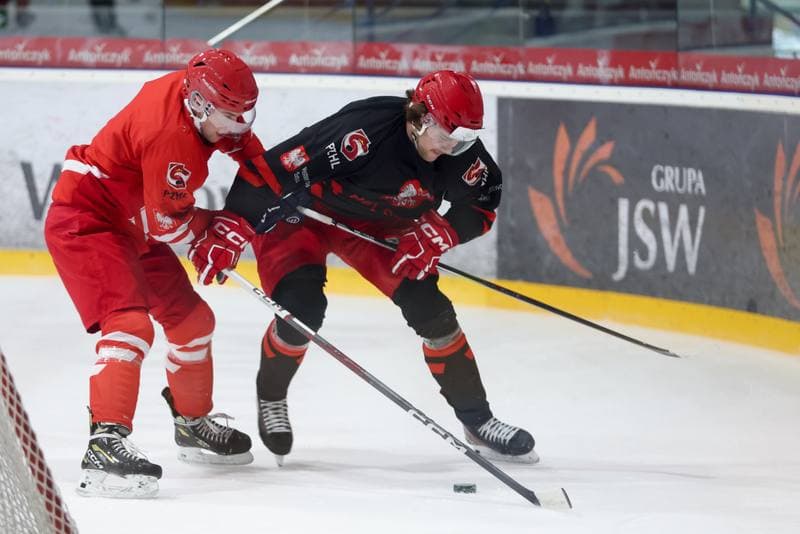 Ice Hockey. Poland national team. Training. 02.04.2024