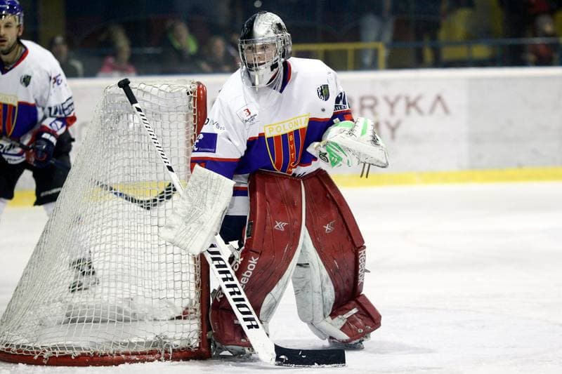Ice Hockey. Polska Hokej Liga. Tempish Polonia Bytom - GKS Tychy. 15.02.2017