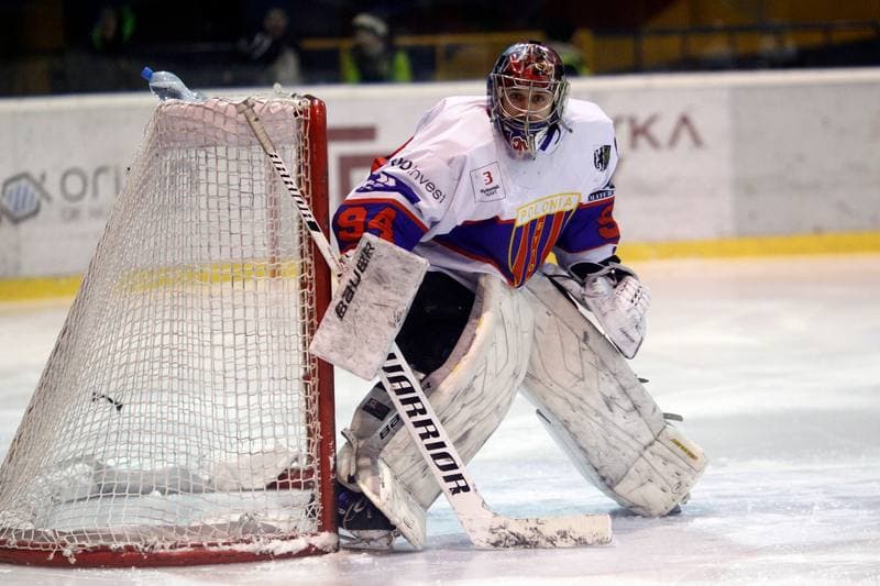 Ice Hockey. Polska Hokej Liga. Tempish Polonia Bytom - JKH GKS Jastrzebie. 20.01.2017