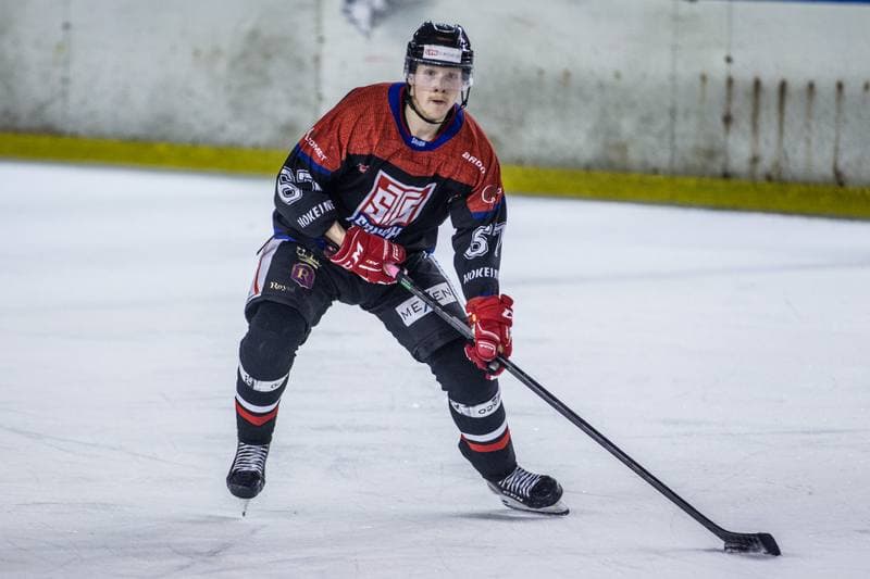 Ice Hockey. PHL. Zaglebie Sosnowiec - Ciarko STS Sanok. 11.02.2022