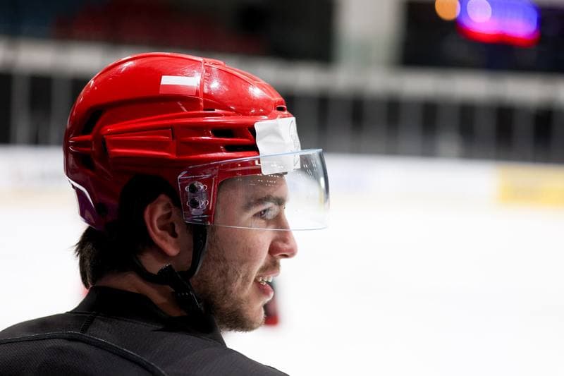 Ice Hockey. Poland national team. Training. 16.04.2024