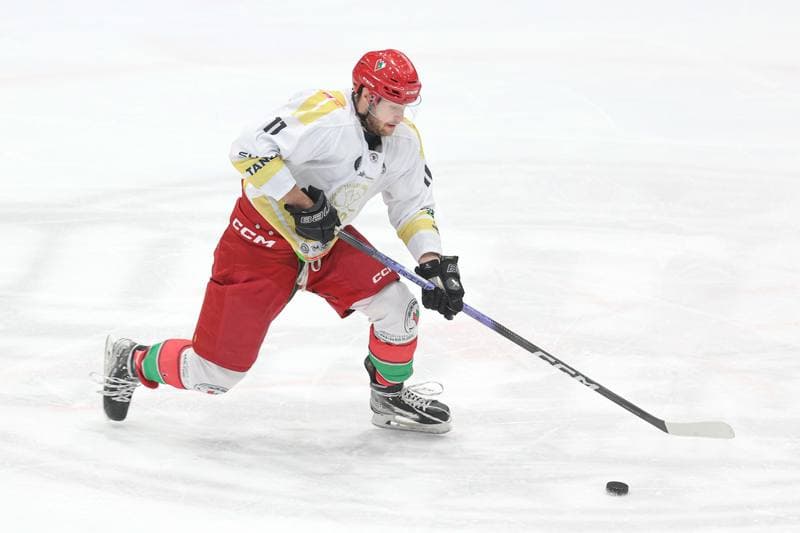 Ice Hockey. Tauron Hokej Liga. Zaglebie Sosnowiec - GKS Tychy. 27.02.2024