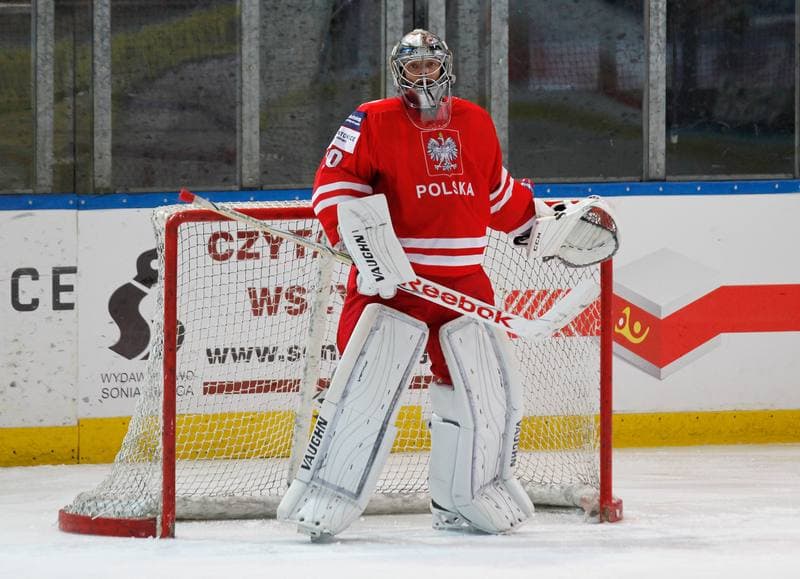 Ice Hockey. International Friendly Match. Poland - Korea. 16.04.2016