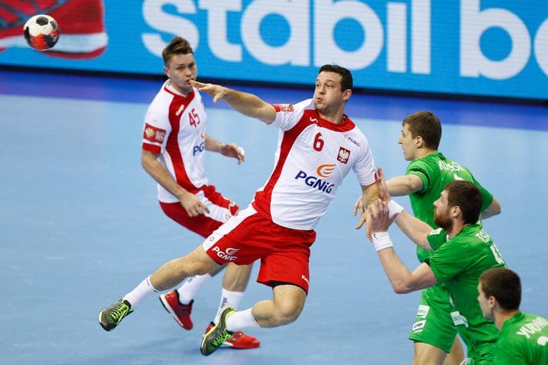 Handball. EHF Euro 2016. Poland - Belarus. 25.01.2016