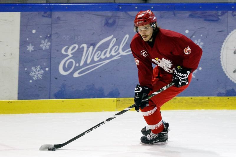 Ice Hockey. Poland national team. Training. 13.02.2018