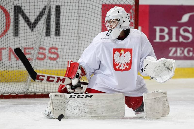 Ice Hockey. Poland national team. Training. 15.02.2018