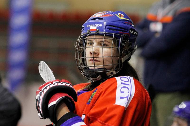 Ice Hockey. PLHK. Naprzod Janow - Polonia Bytom. 24.02.2018
